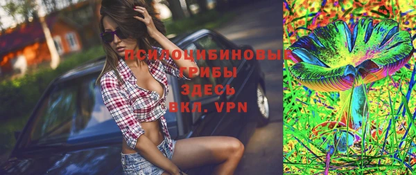 прущие грибы Богородск