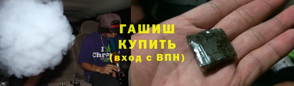 прущие грибы Богородск