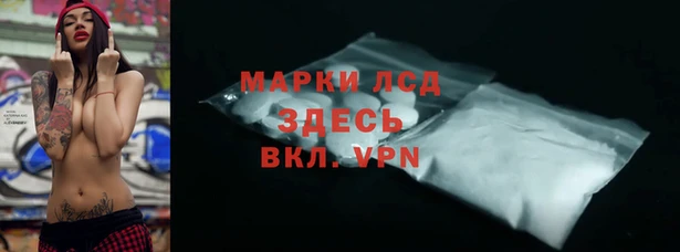прущие грибы Богородск