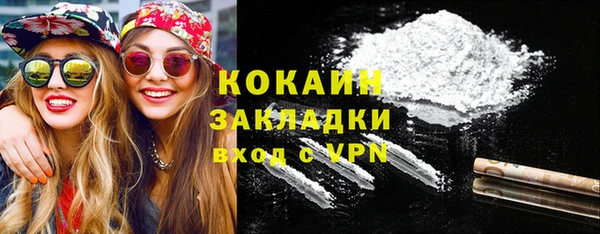 прущие грибы Богородск