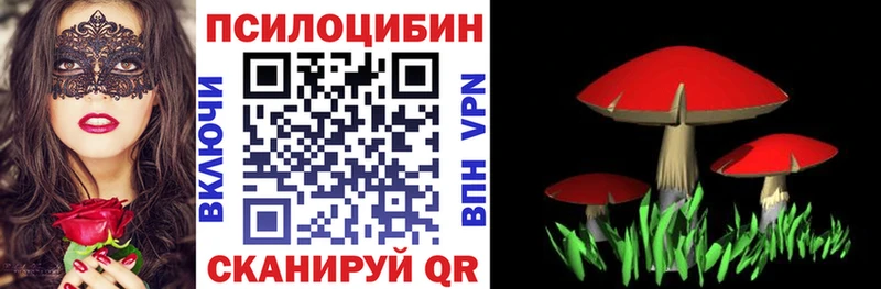 купить наркотик  Вельск  Галлюциногенные грибы GOLDEN TEACHER 